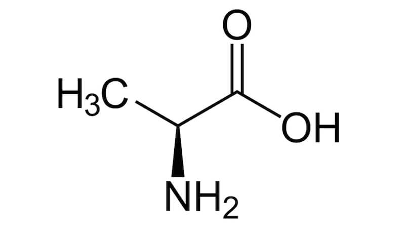 Funktion, uppbyggnad och användning av Aaminosyran Alanin