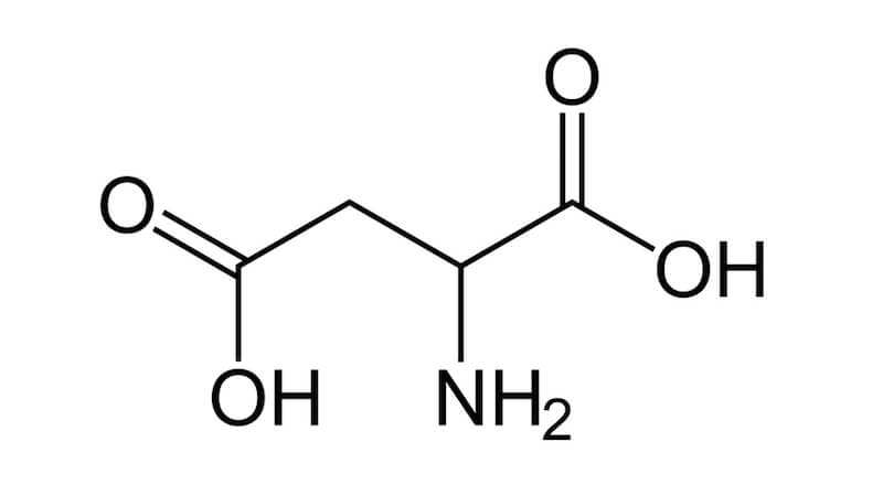 Funktion av aminosyran asparginsyra