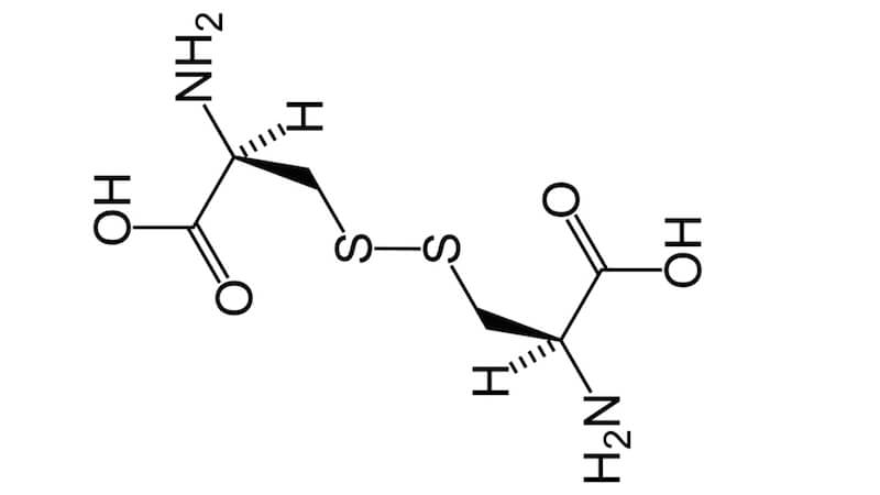 Om aminosyran cystin