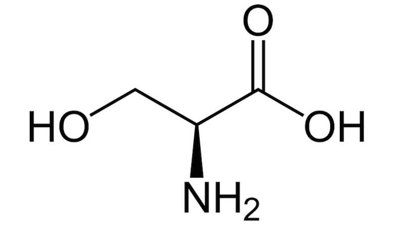 Funktion och egenskaper av aminosyran serin i kroppen och som kosttillskott