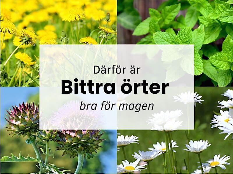 Därför är bittra örter bra för magen