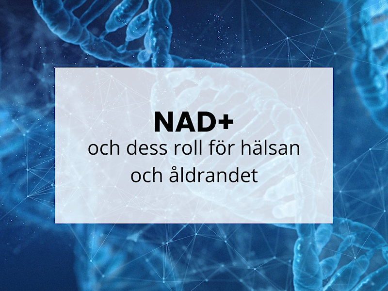 NAD+ och dess roll för hälsan och åldrandet