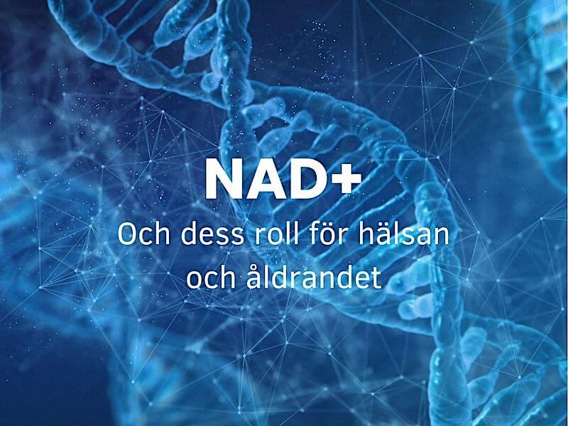 NAD+ och dess roll för hälsan och åldrandet