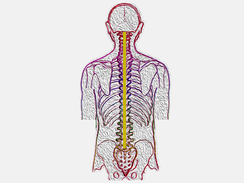 Stimulera vagusnerven