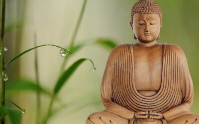 Mindfulness – de nio attityderna för ett balanserat liv