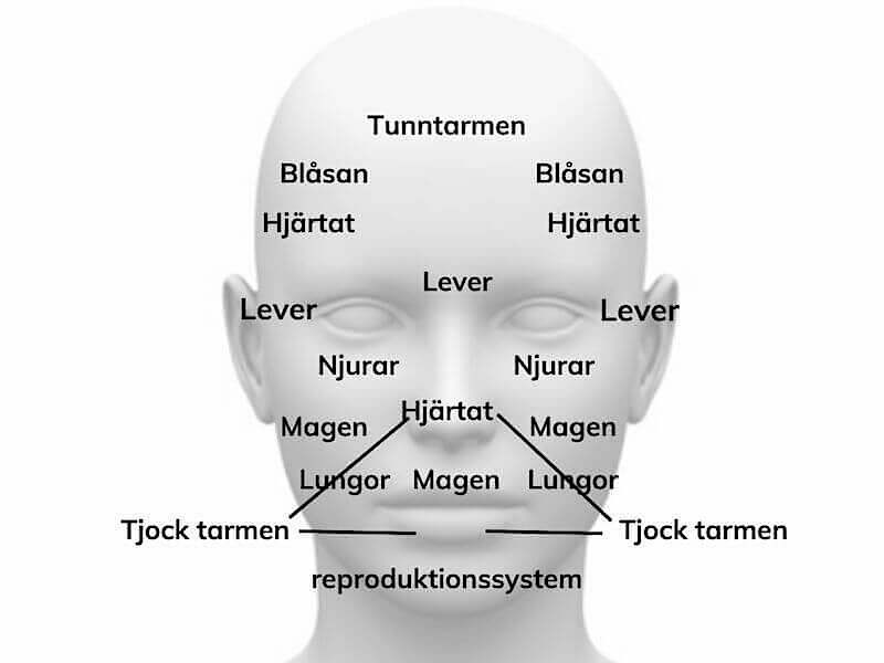 Ansiktsdiagnostik