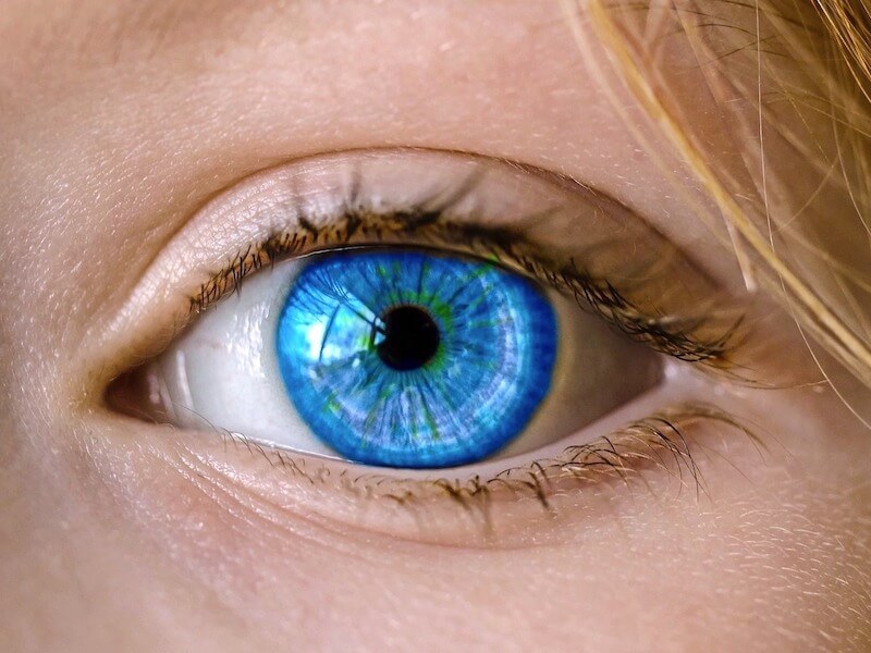 Irisdiagnostik ( iridologi )
