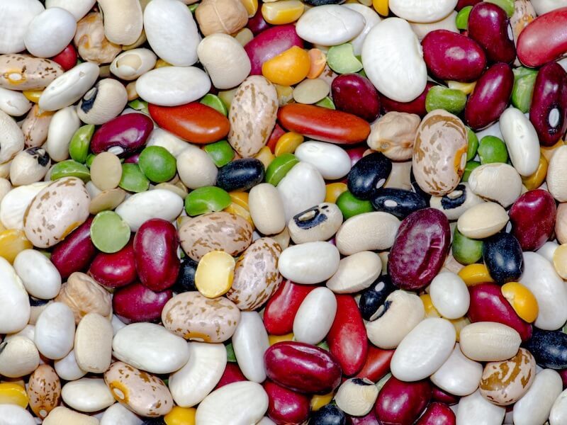 Mineralen Molybden i kosten och som kosttillskott