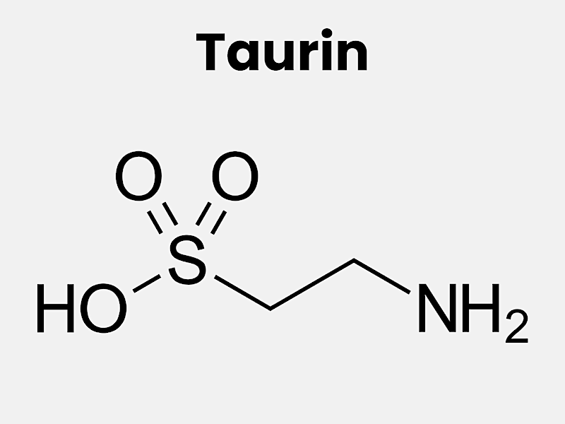 Funktion av aminosyran taurin vid träning.