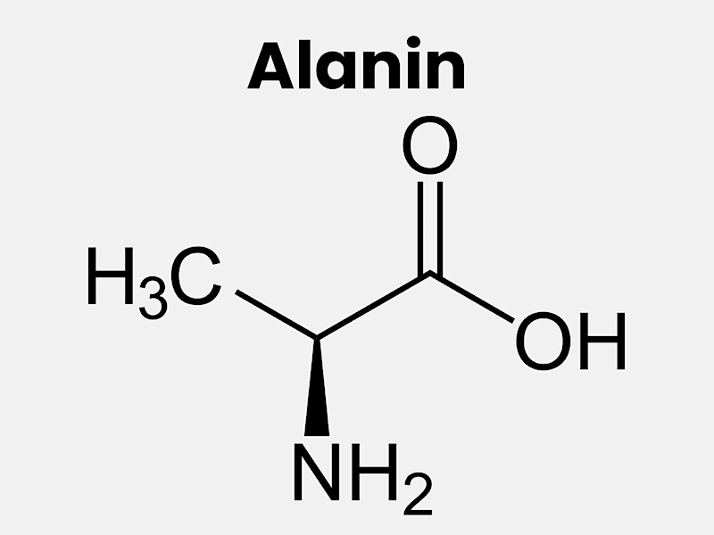 Aminosyran alanin och beta-alanin som kosttillskott vid träning
