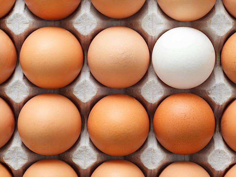 B12-vitamin, kobalamin och dess funktion i kroppen och betydelse för hälsan